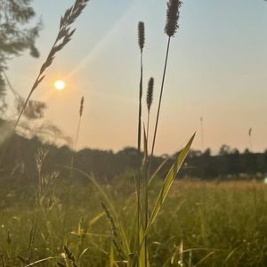 Meet your Posher, Alexa